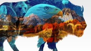 undefined Images
